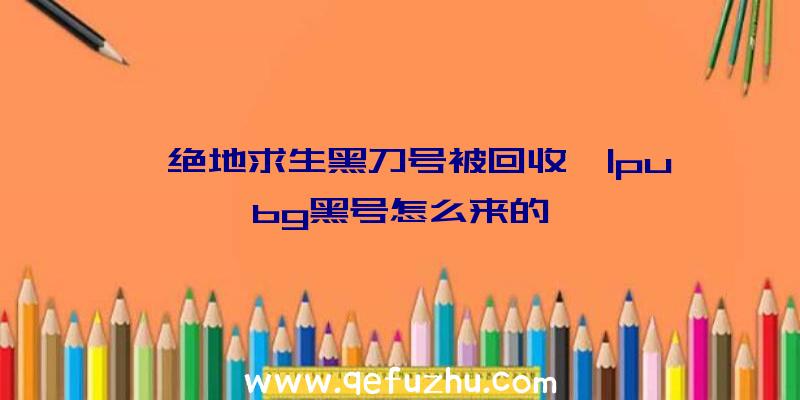 「绝地求生黑刀号被回收」|pubg黑号怎么来的